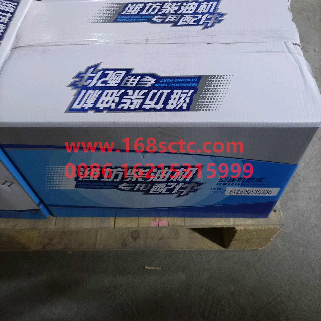 612600130386
