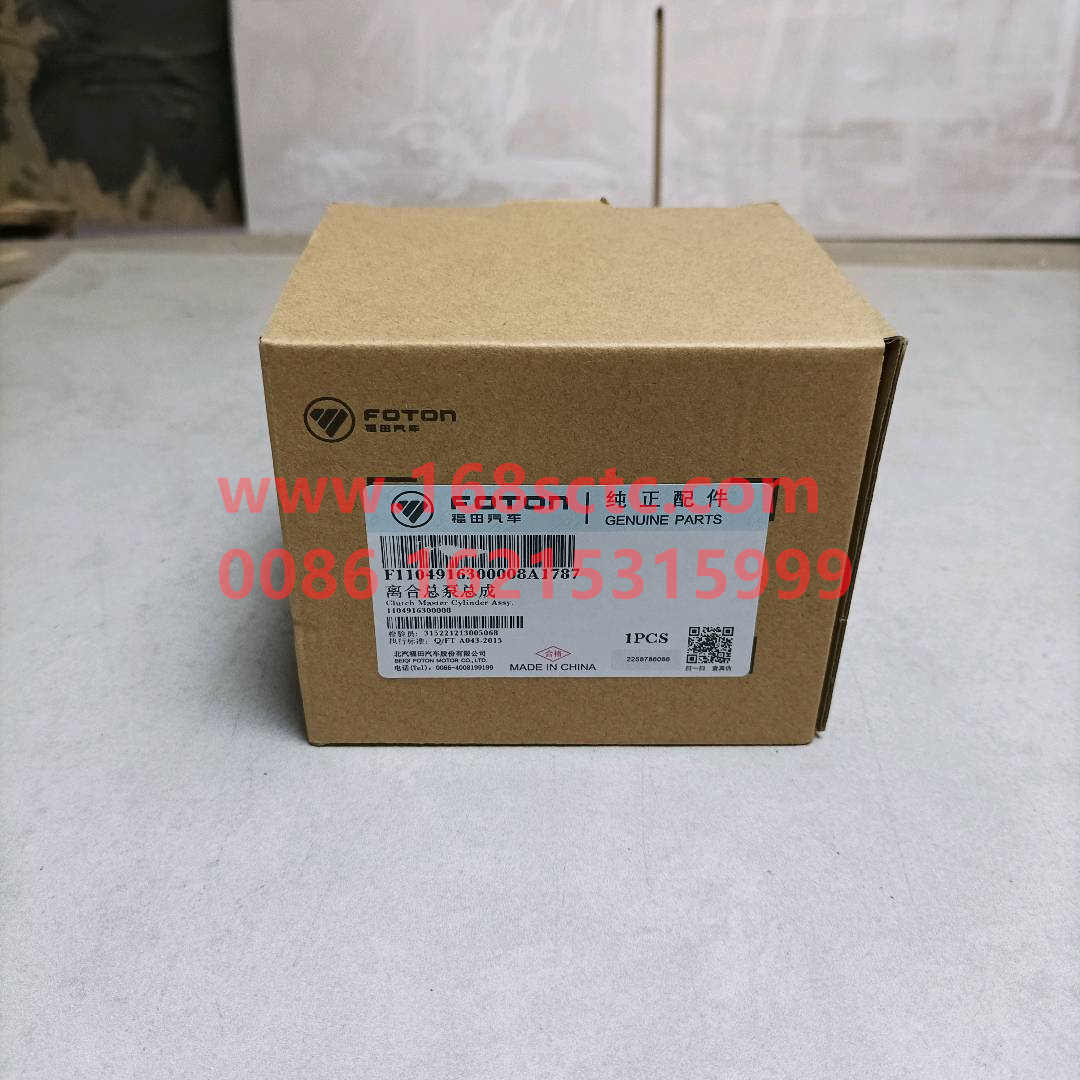 F1104916300008A1787
