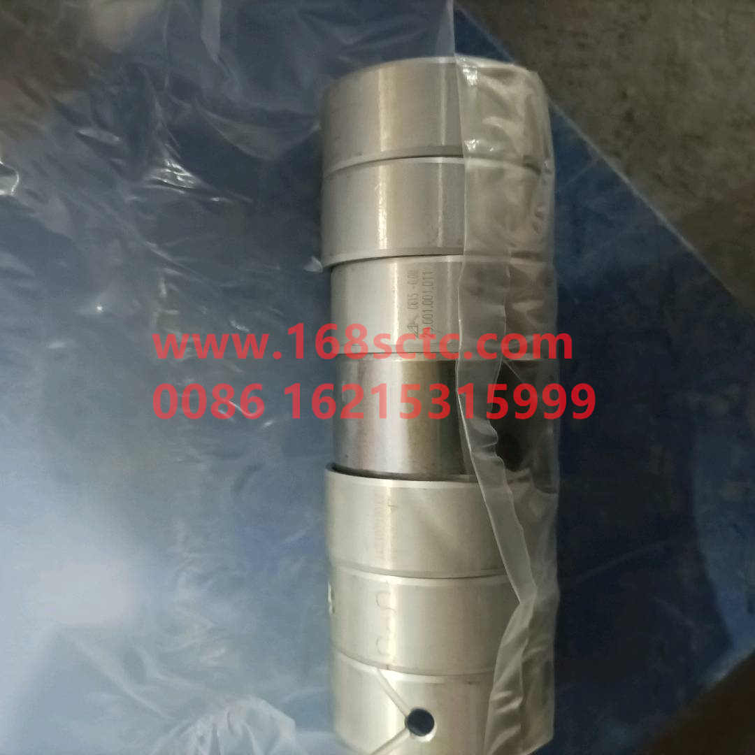 VG15600010029