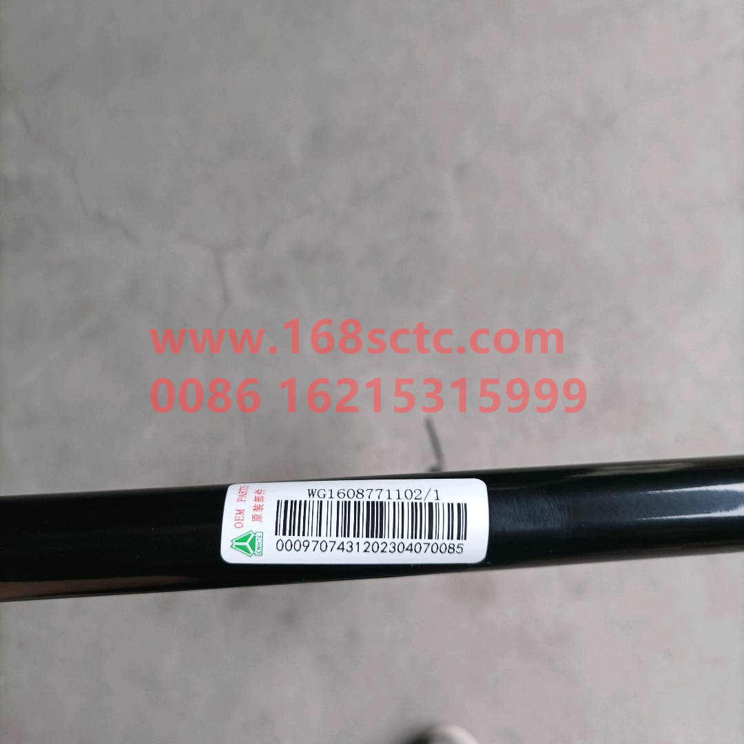 WG1608771102