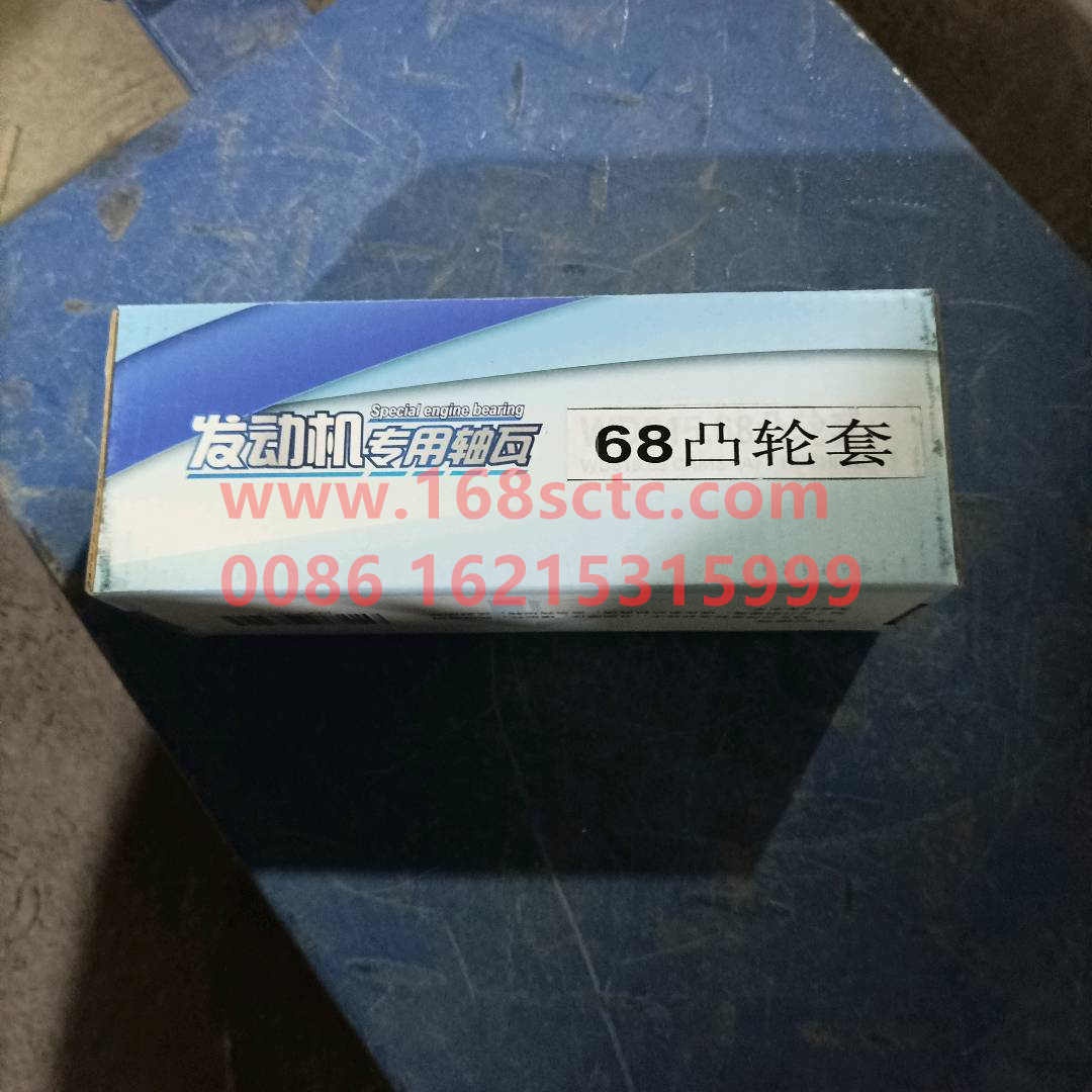 VG15600010029