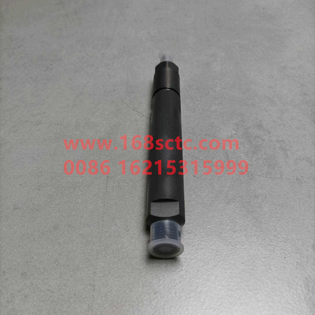 VG1560080276-SINOTRUK HOWO-fuel injector L203-ZhongQiFaDongJiWD615.96NE