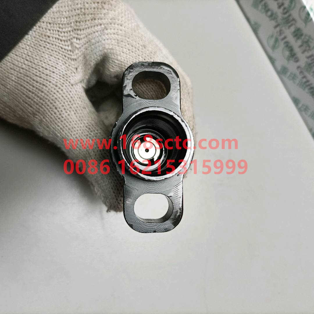 X170S-WEICHAI-plunger-WeiChaiFaDongJiWD615.61A