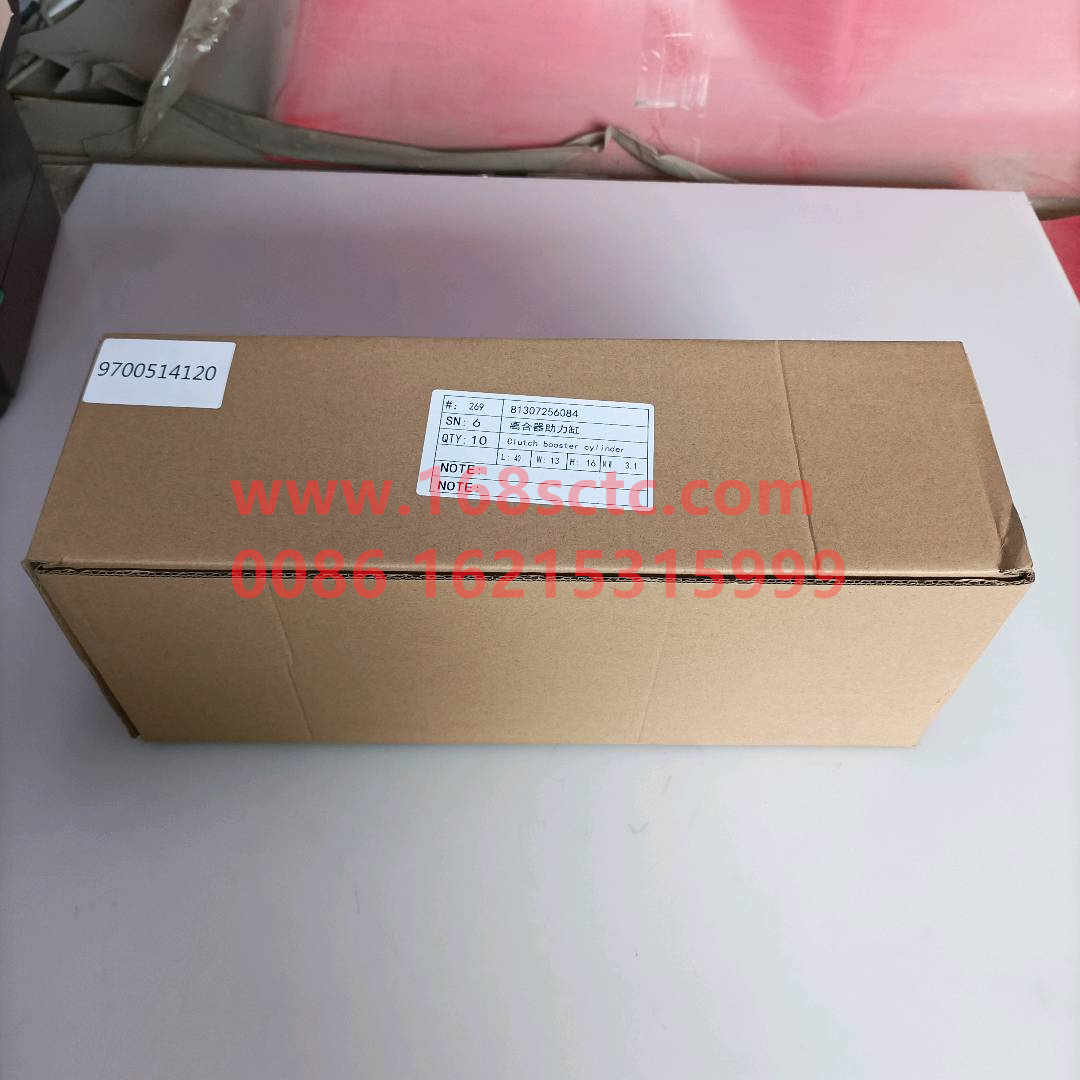 81307256084