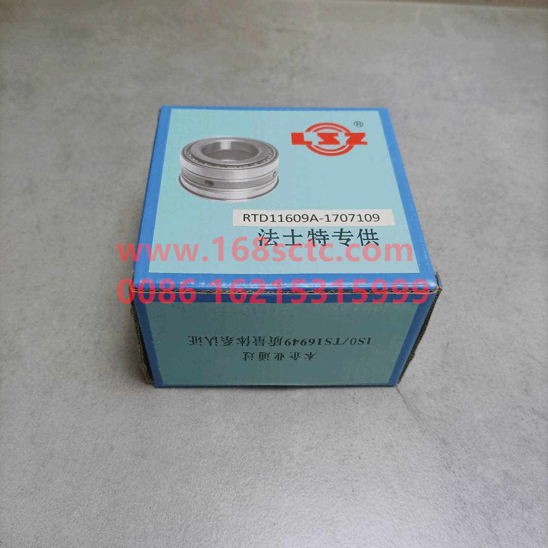 RTD11609A-1707109