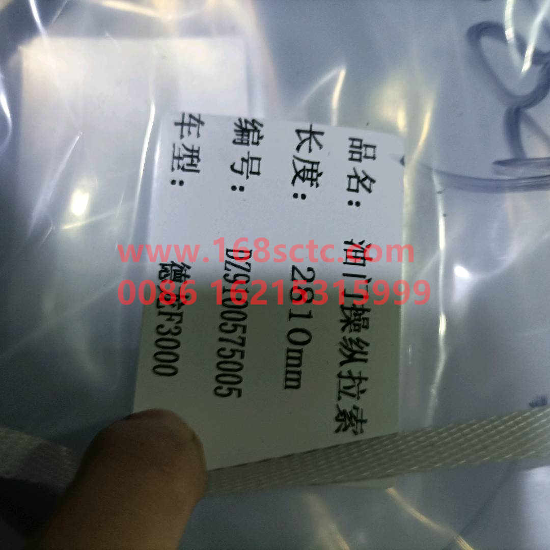 DZ9100575005
