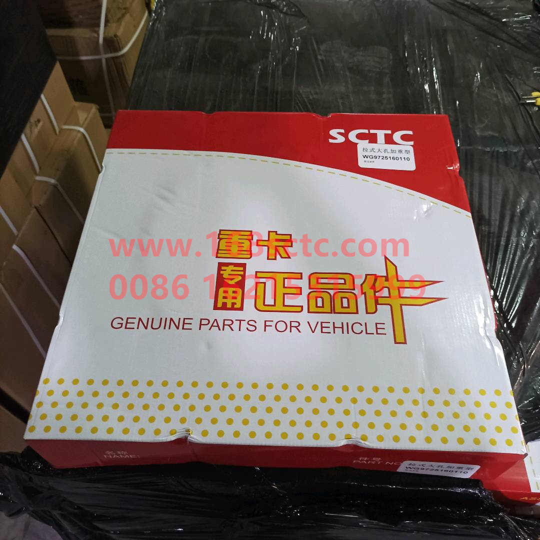 WG9725160110