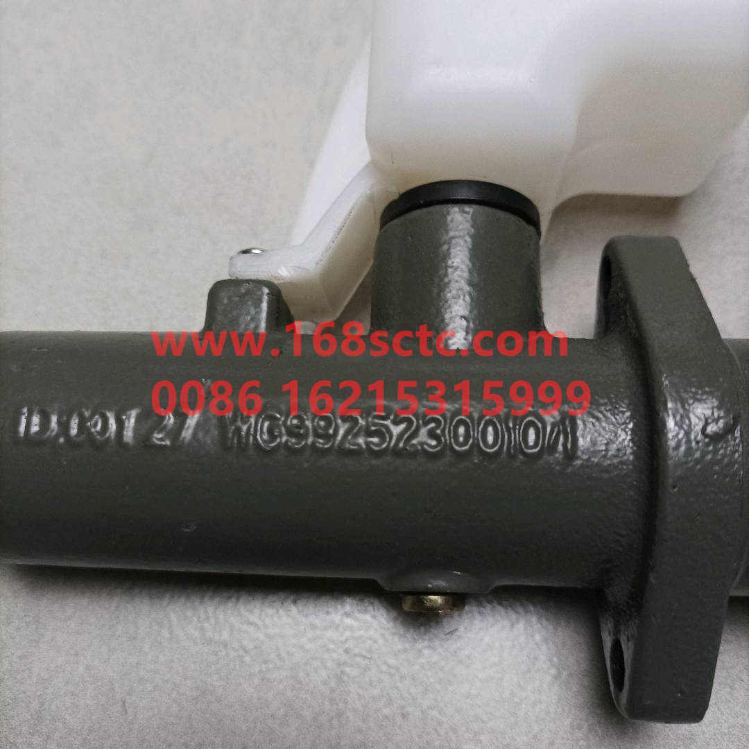 WG9925230010-0