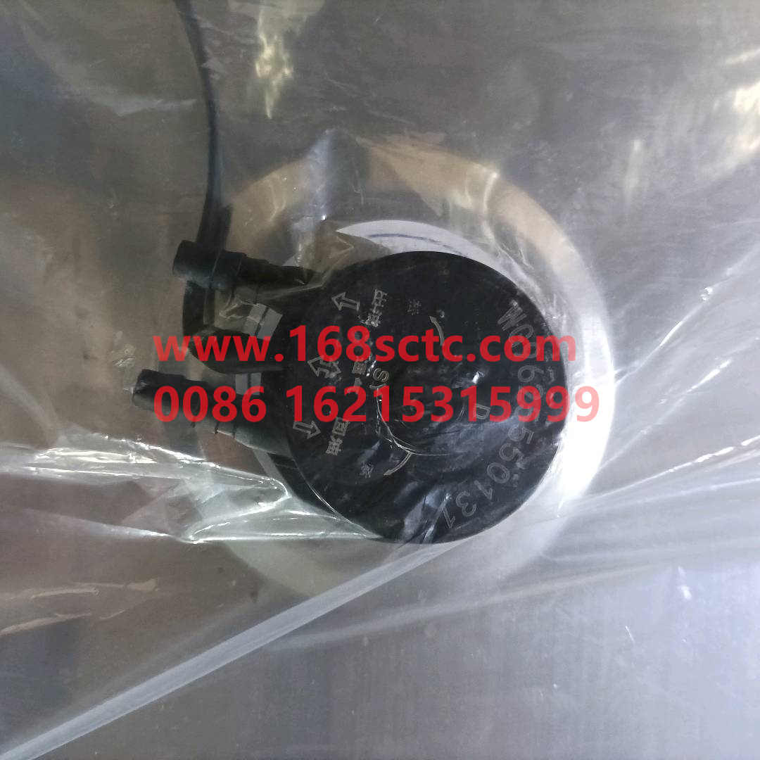 WG9925556725