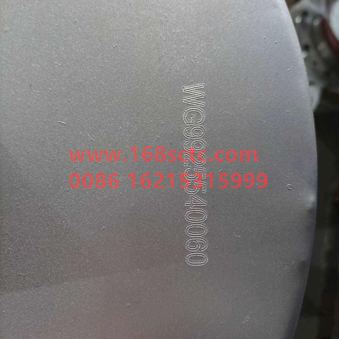 WG9925540060