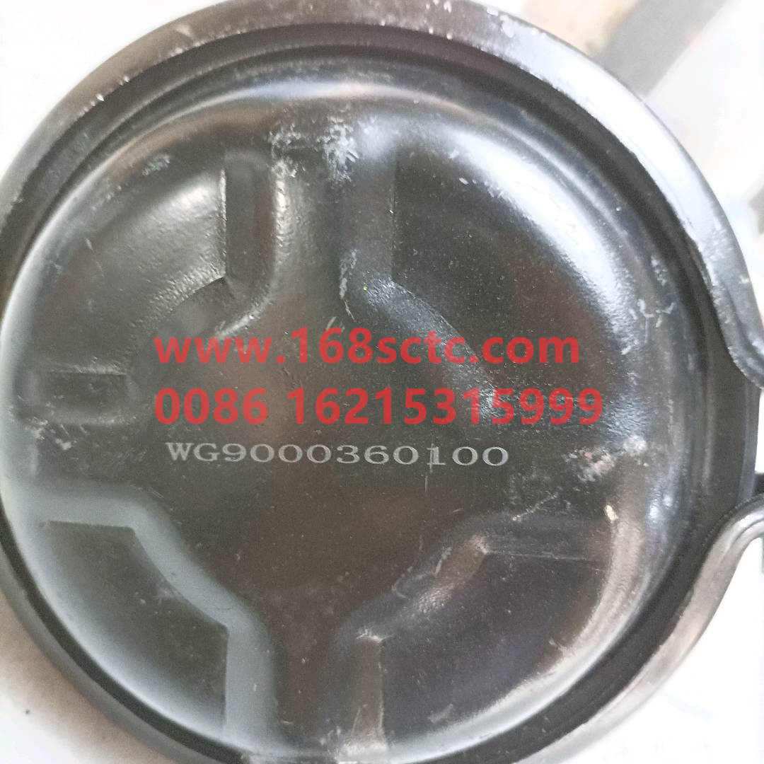 WG9000360601-0