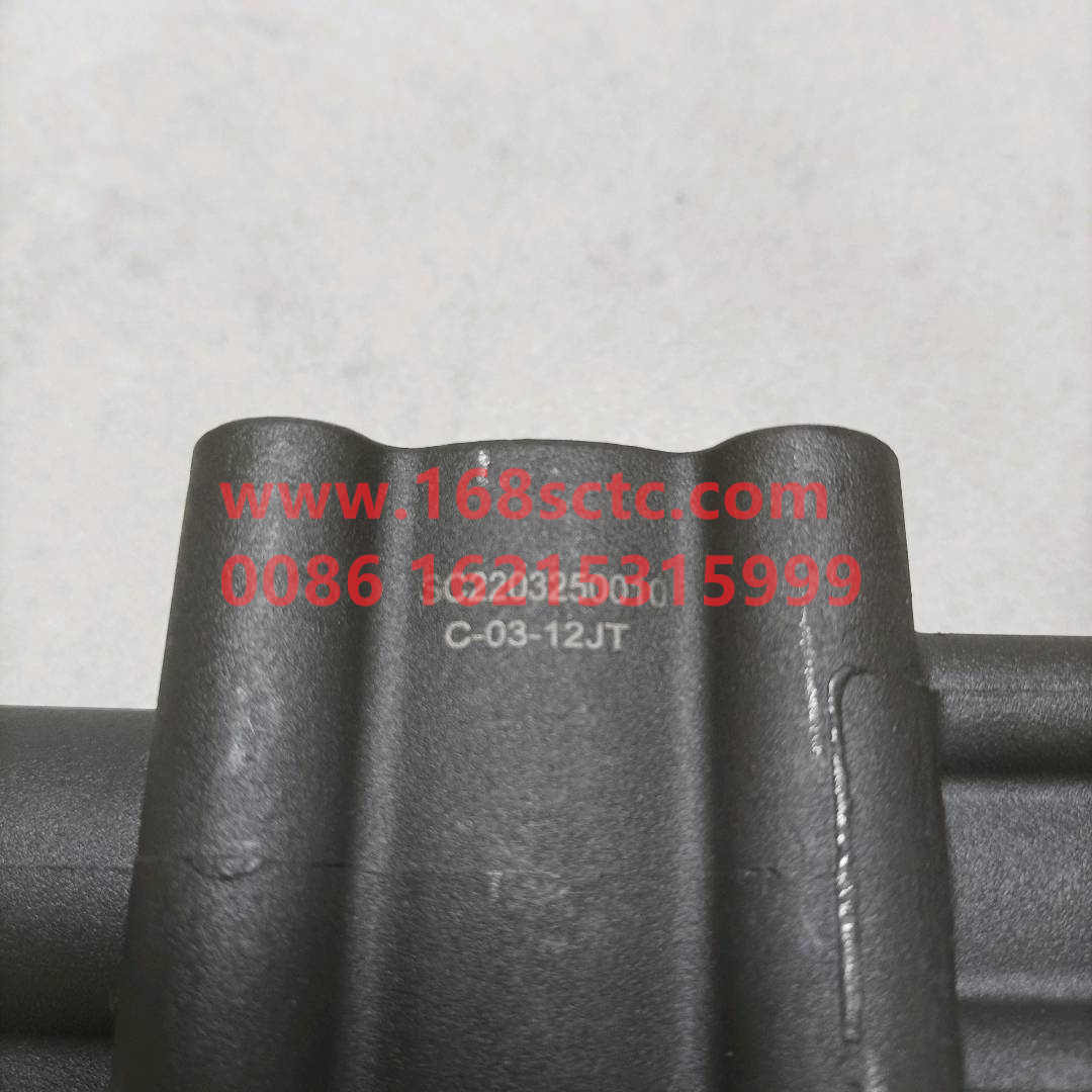 WG2203250010-0