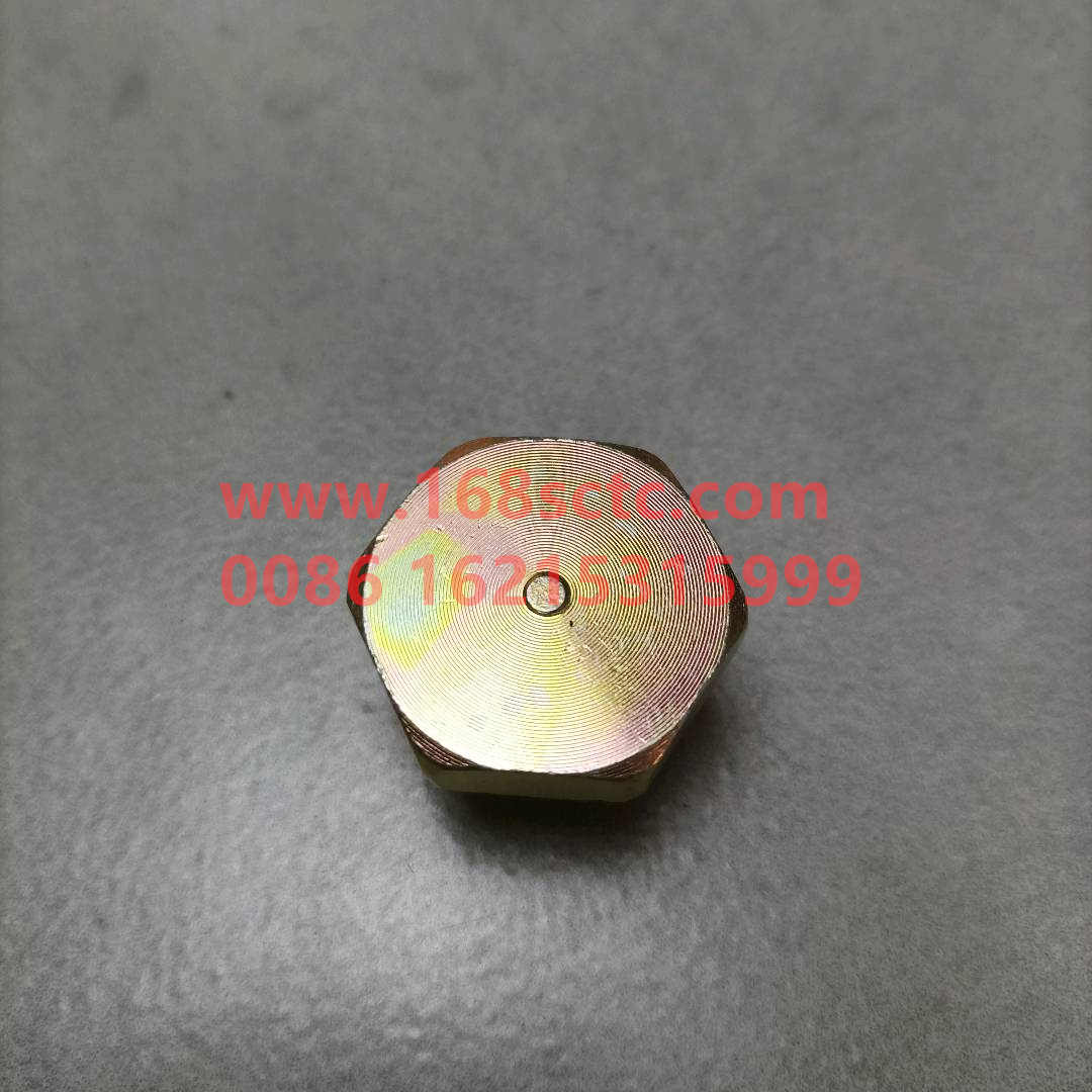 WG9000361012-1