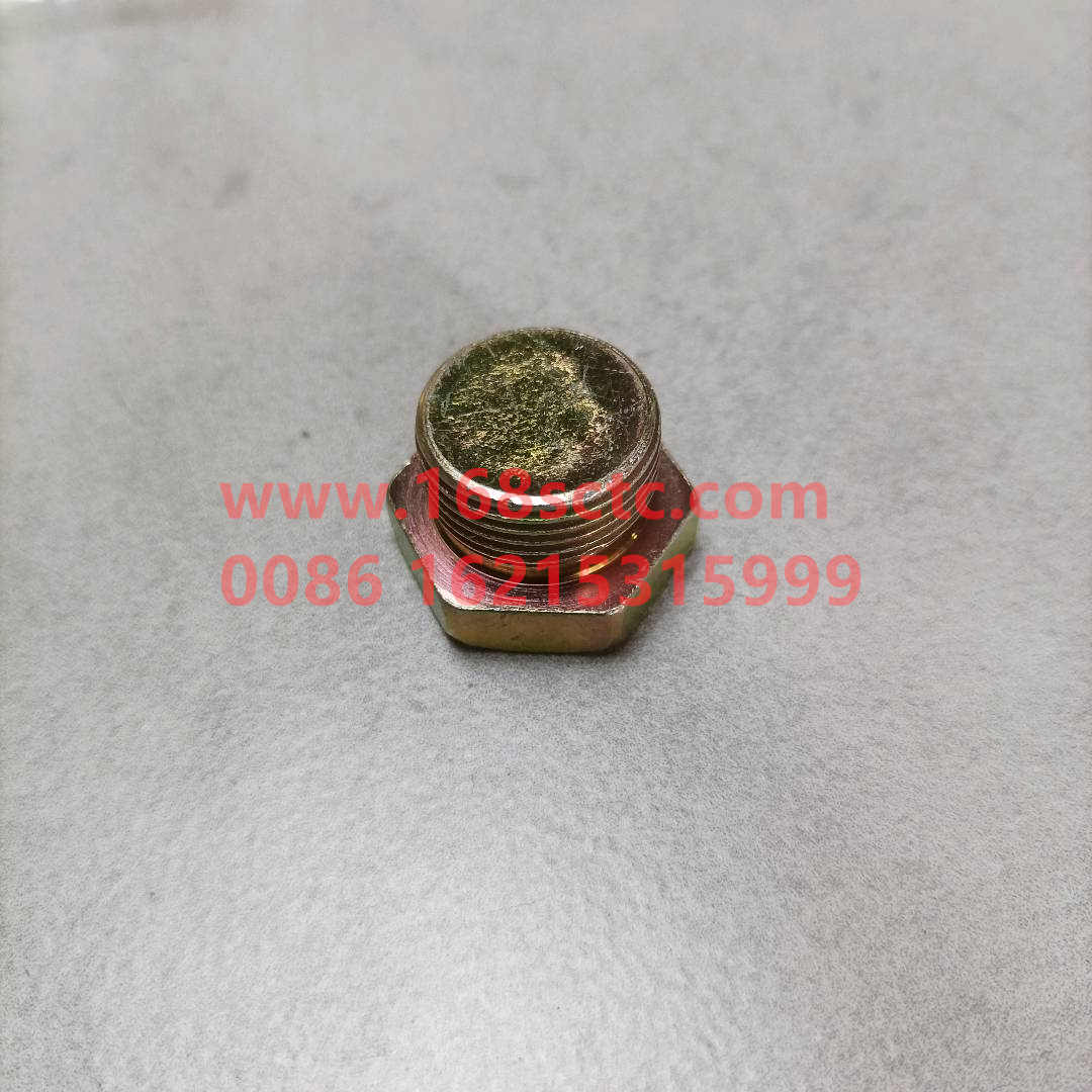 WG9000361012-1