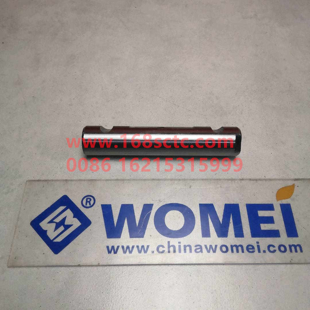 WG9100520065-0