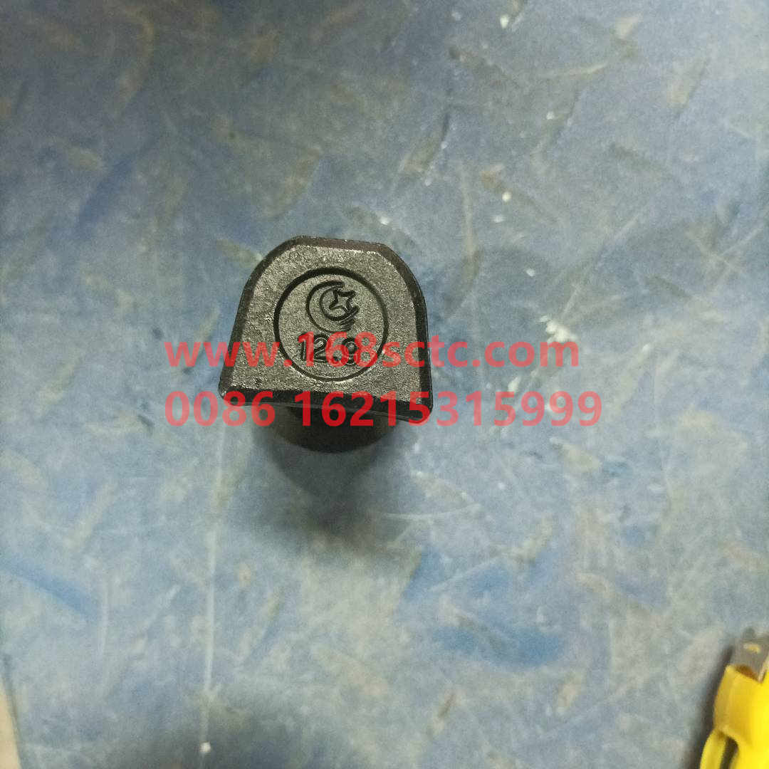 WG9100410104-0