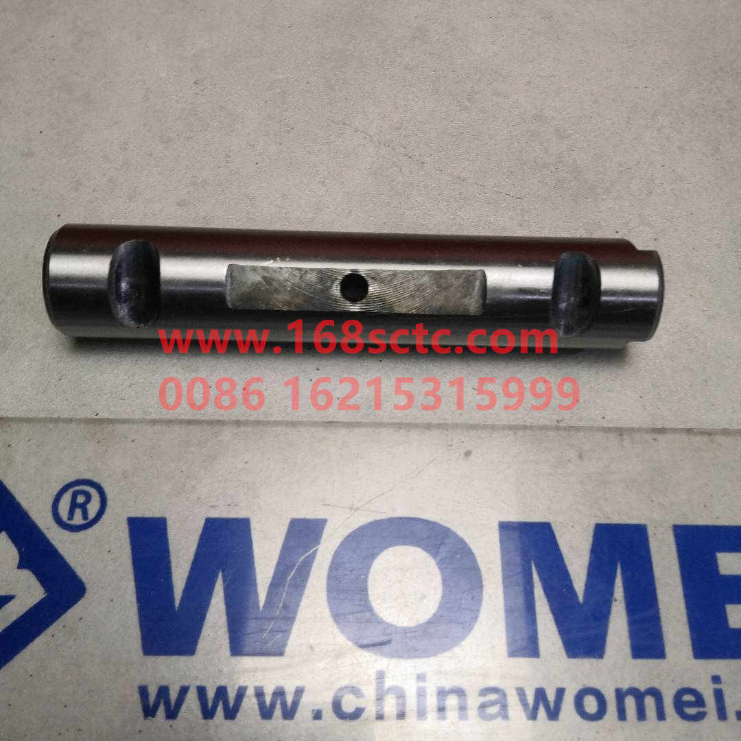 WG9100520065-0