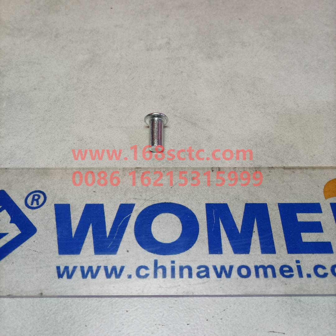 WG9231340068-0
