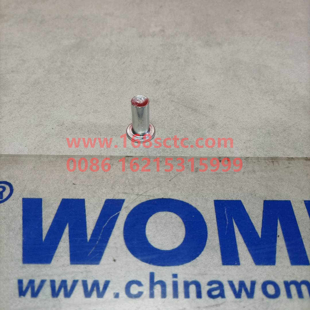 WG9231340068-0
