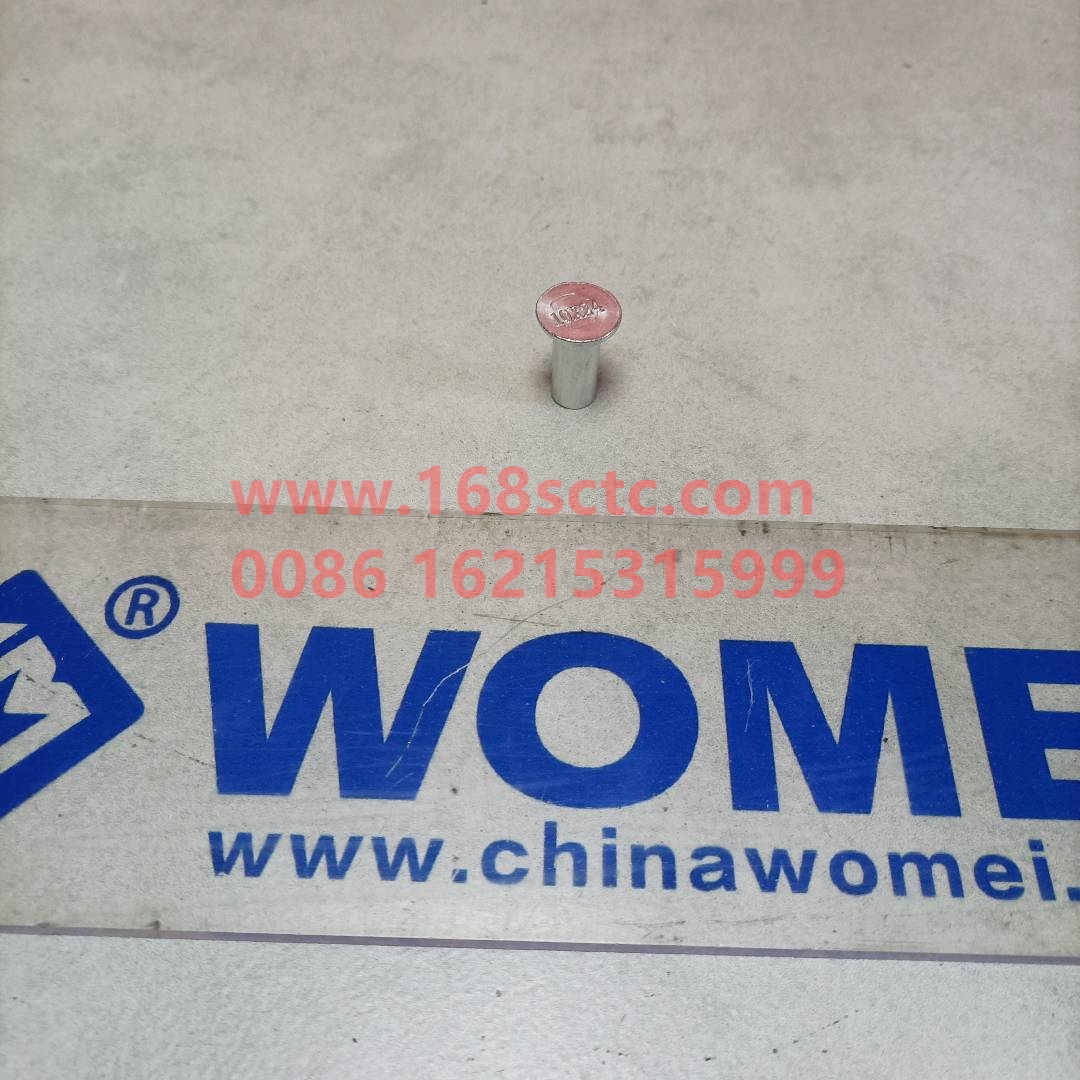 WG9231340068-0