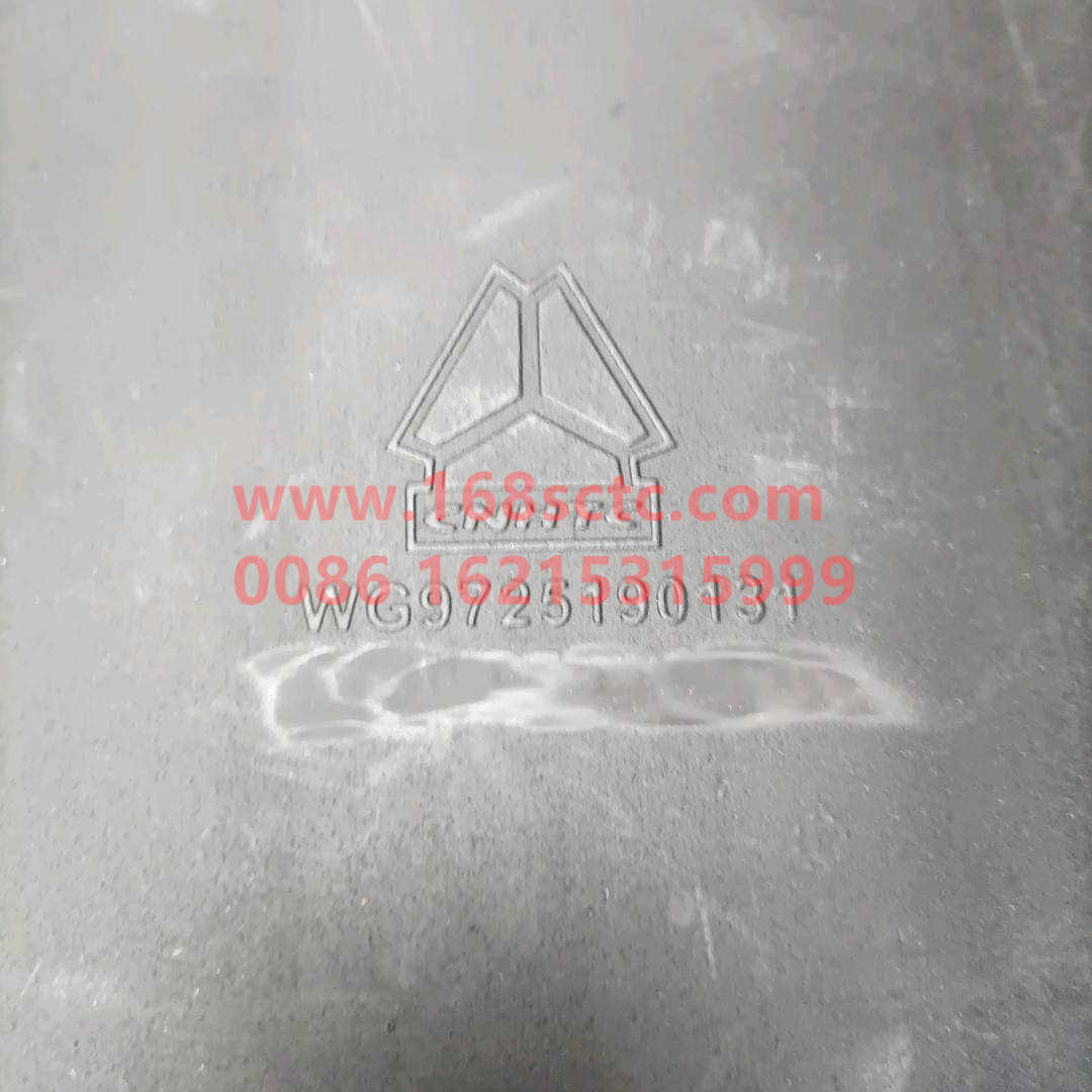 WG9725190131-0