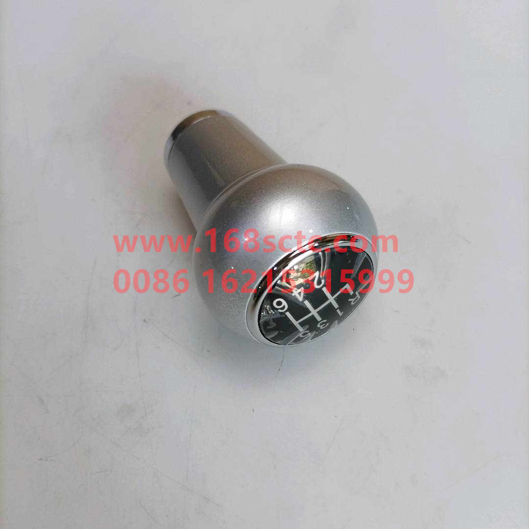 1106917300028