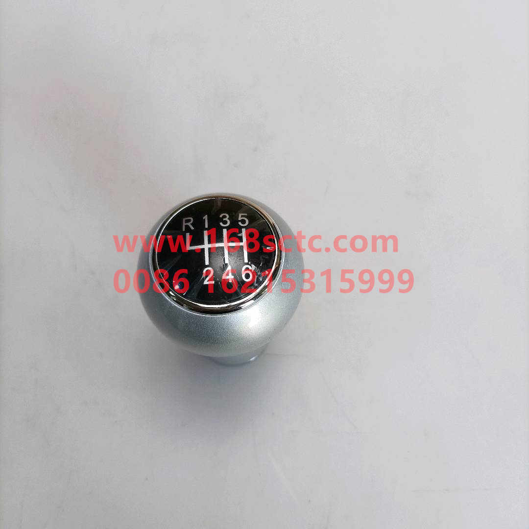 1106917300028