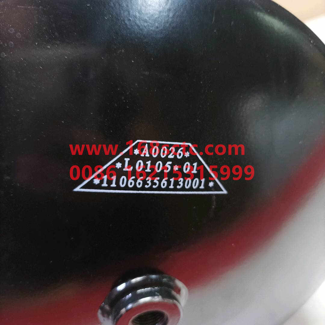 1106635613001