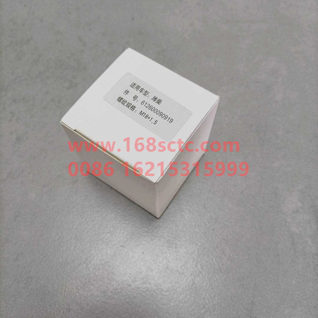BY612600090919-0