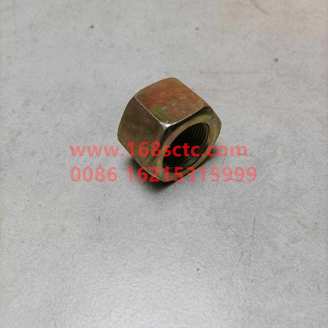 DZ91259527024