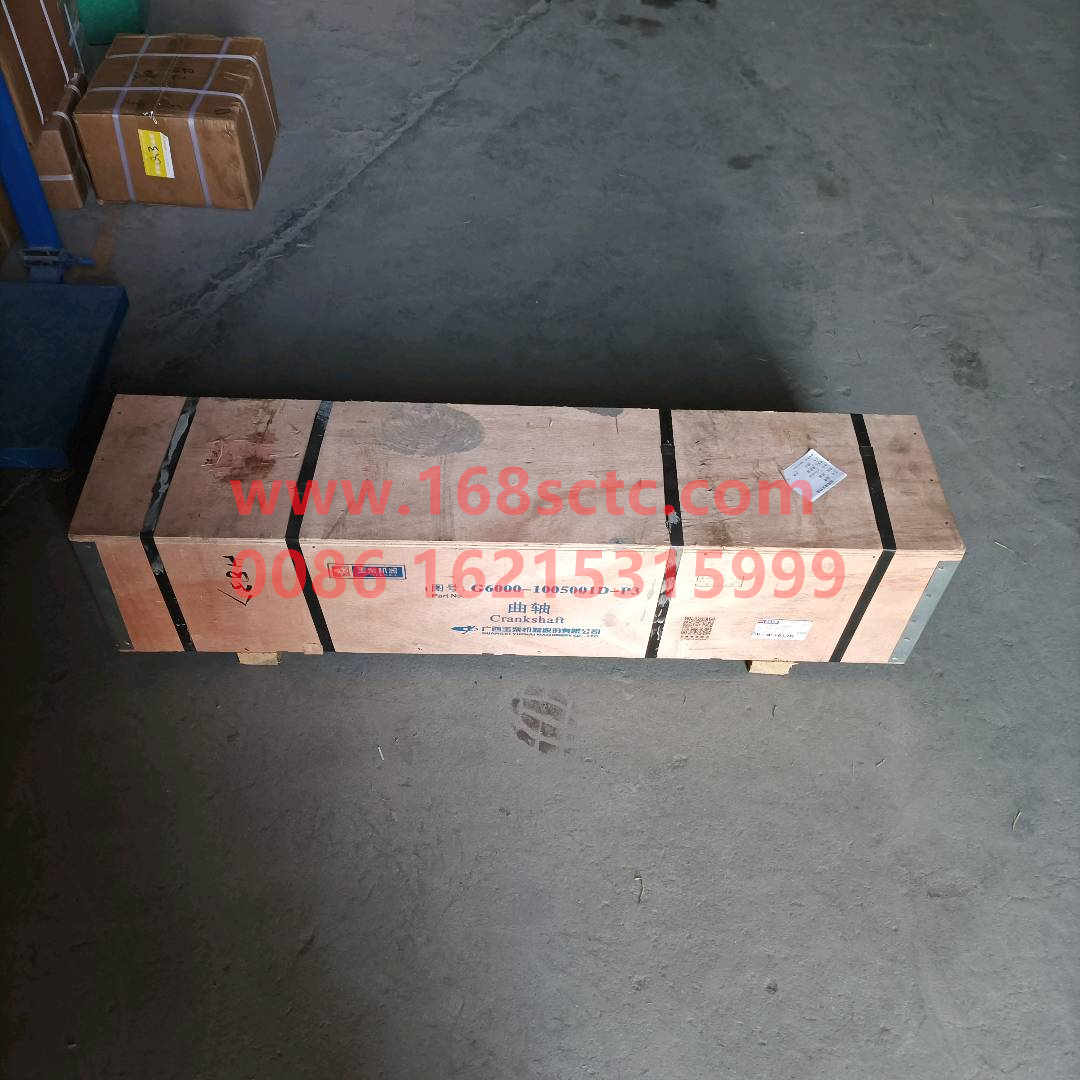 G6000-1005001D-P3