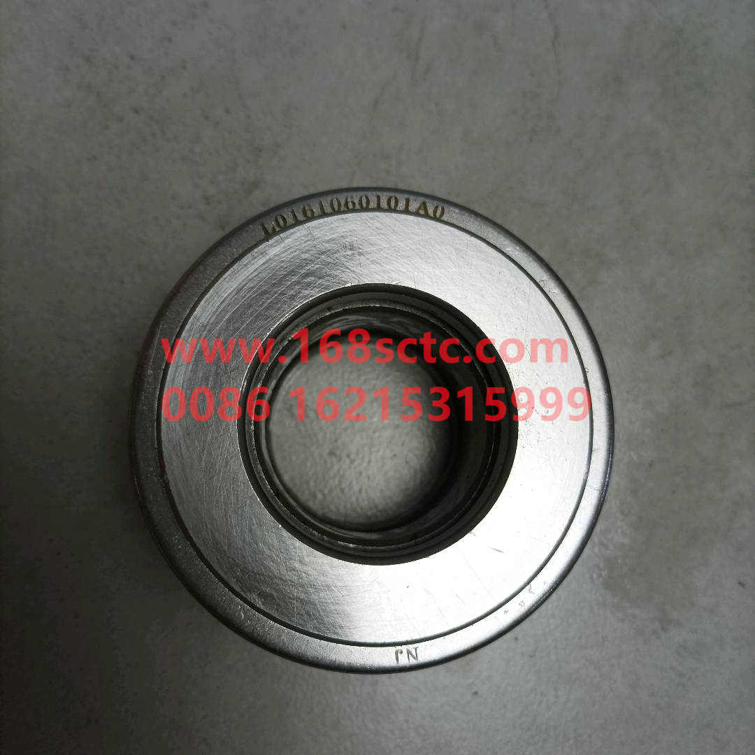 L0161060101A0