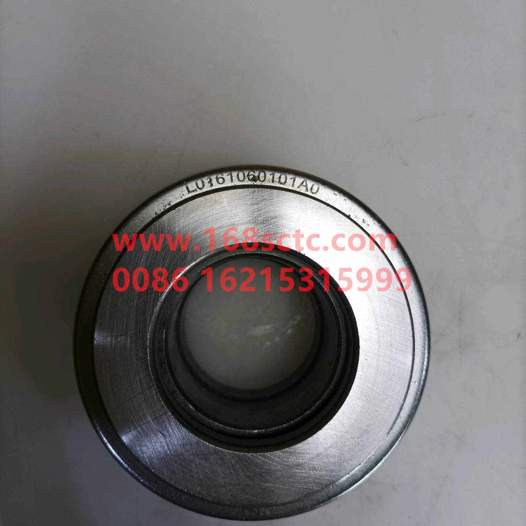 L0161060101A0