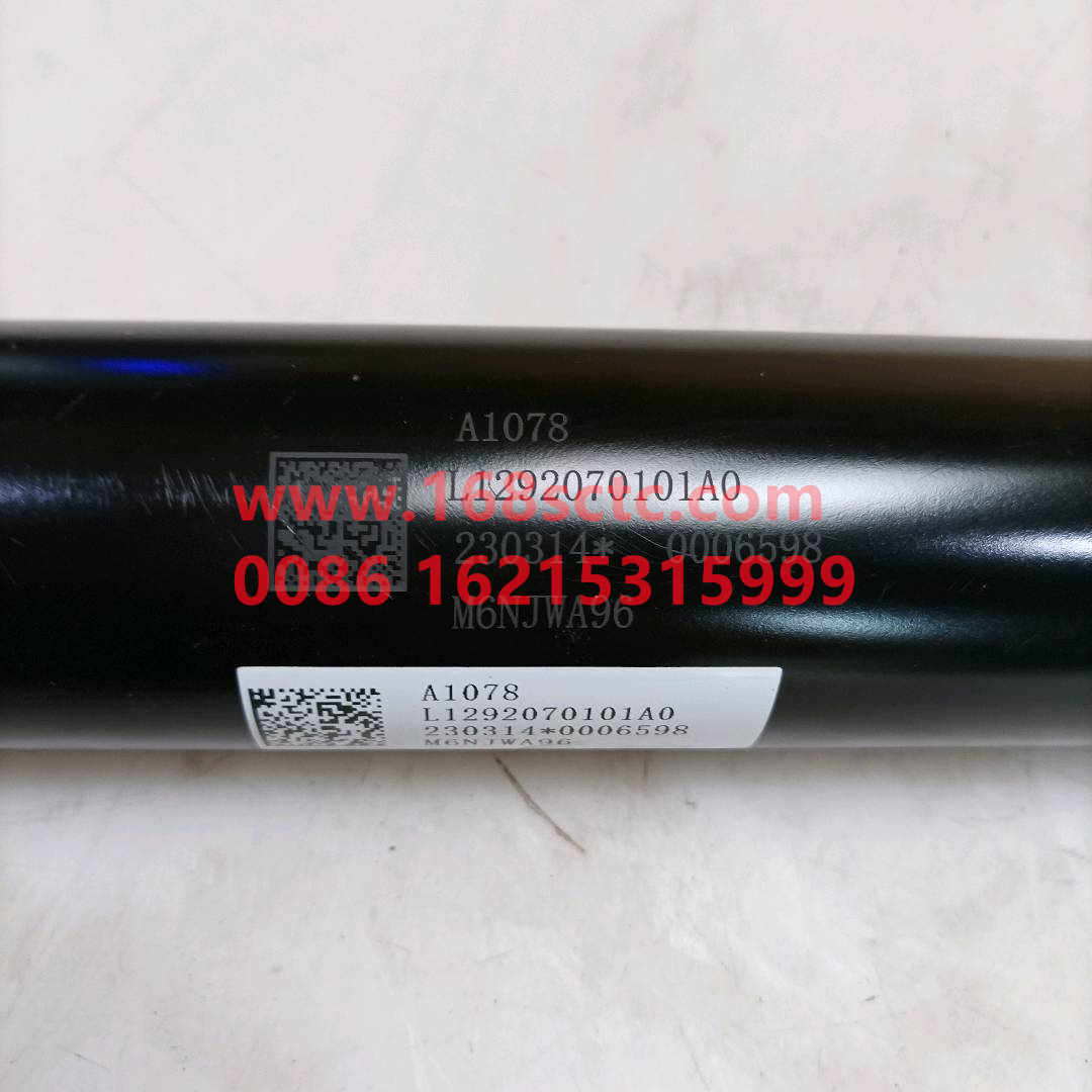 L1292070101A0