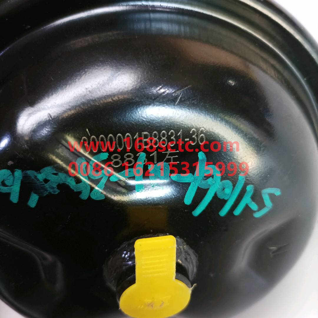 SY1061-Q1-3503610