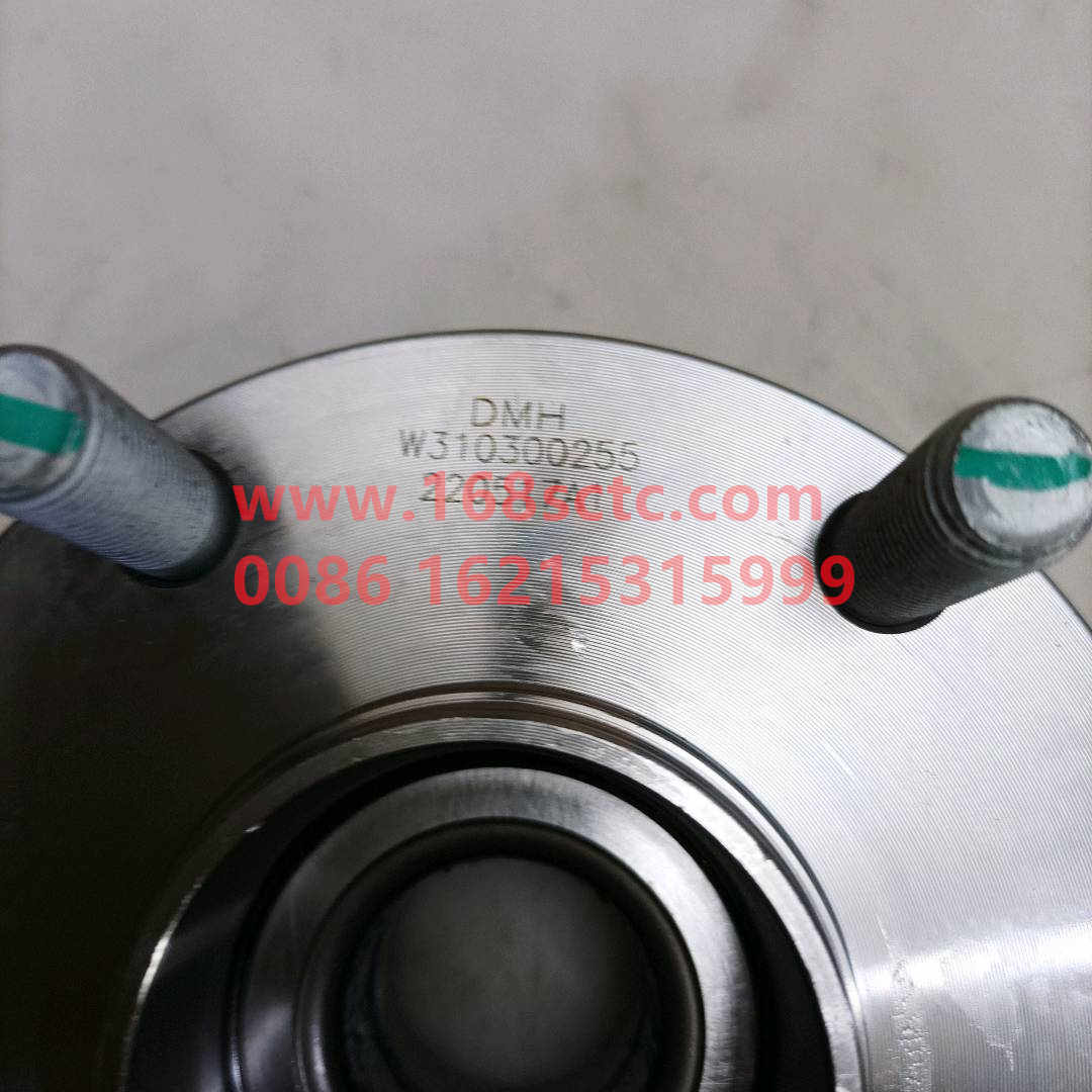 W310300062