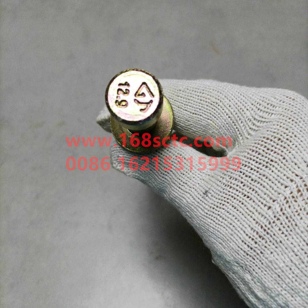 WG9731522011+012