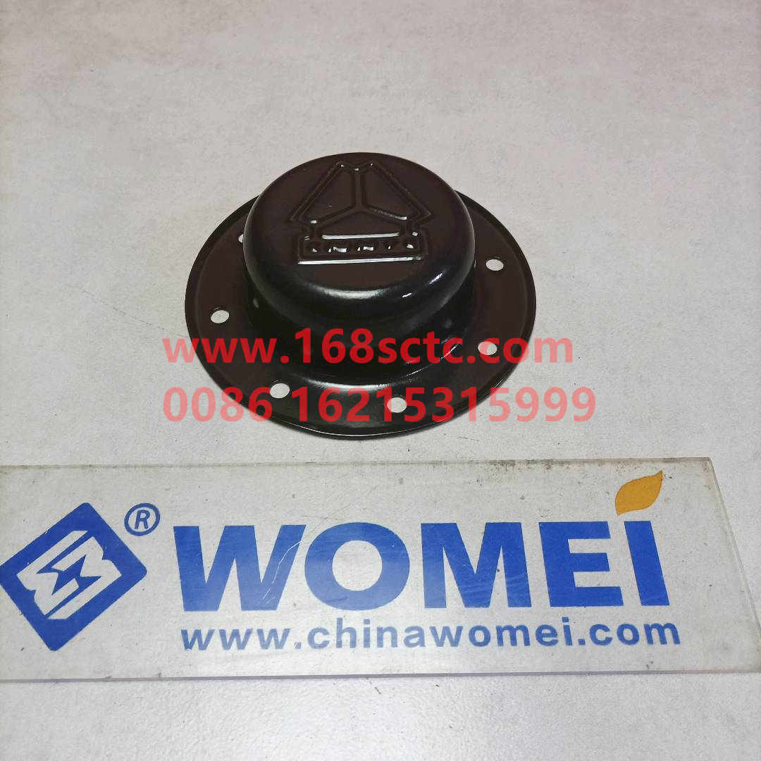 WG9100410043-0