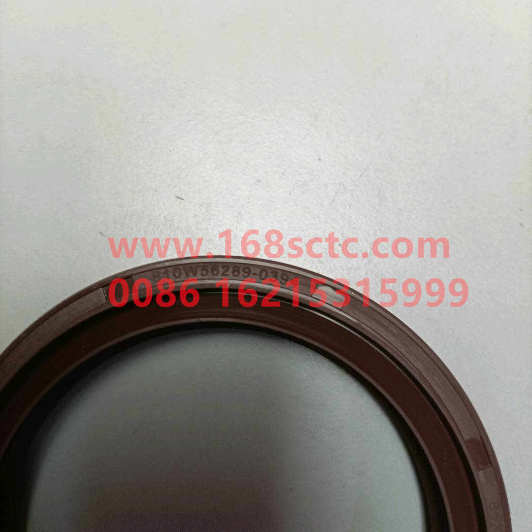 810W56289-0394-0