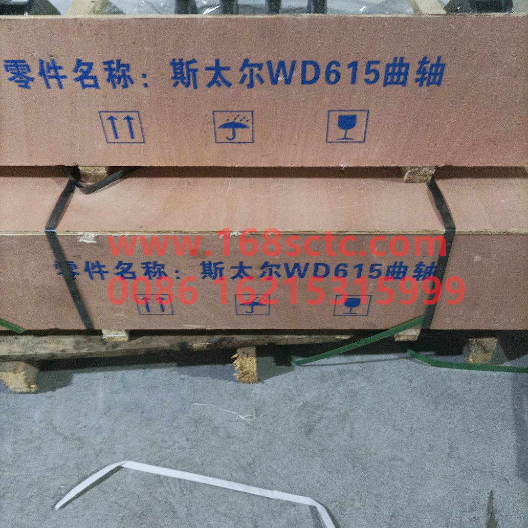 161560020029
