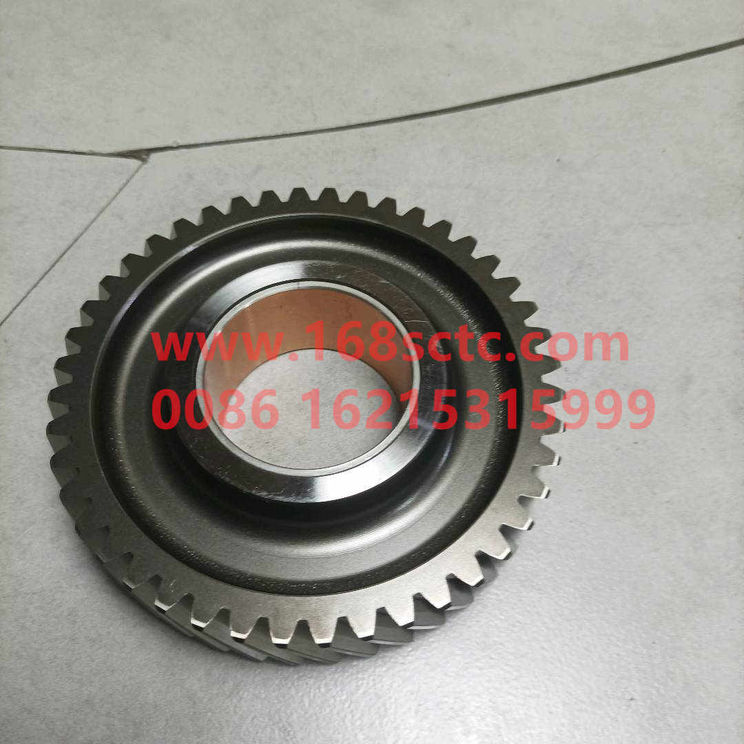 61560050052