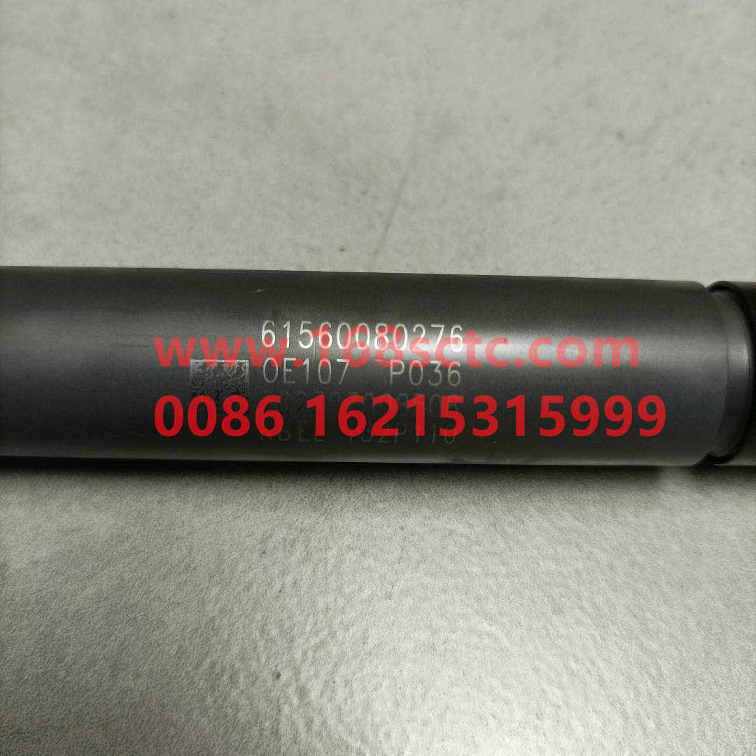 61560080276