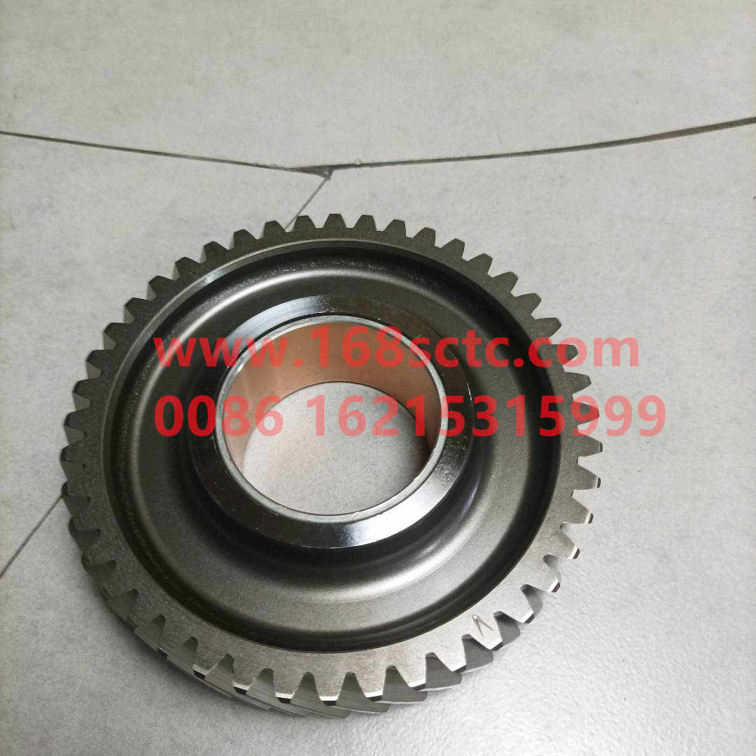 61560050052