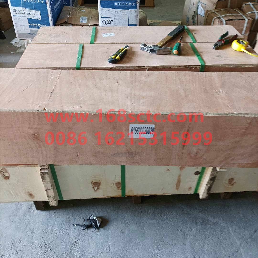 161560020029