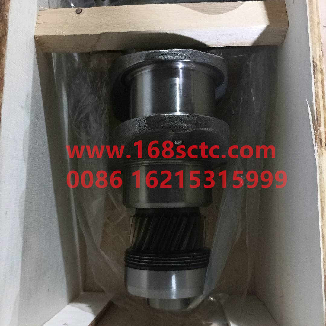 161560020029