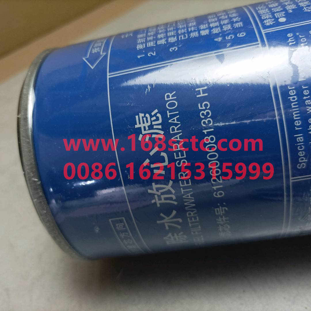 6126000813352