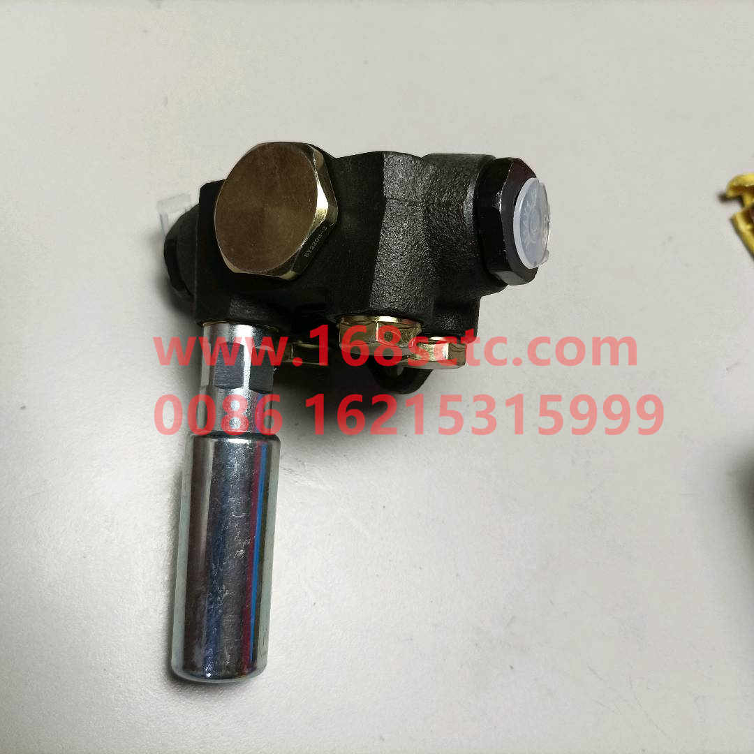 VG1095088010