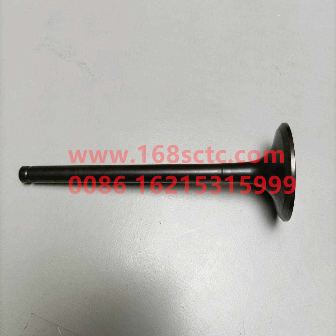 VG1560051001-SINOTRUK HOWO-Intake valveEurope Ⅱ-ZhongQiFaDongJiWD615.95E