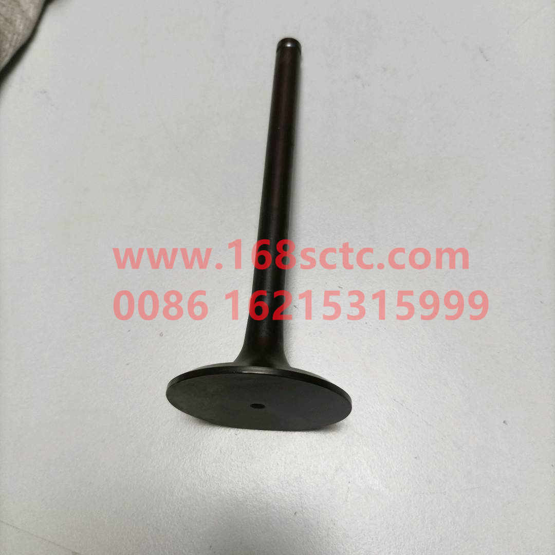 VG1560051001-SINOTRUK HOWO-Intake valveEurope Ⅱ-ZhongQiFaDongJiWD615.95E