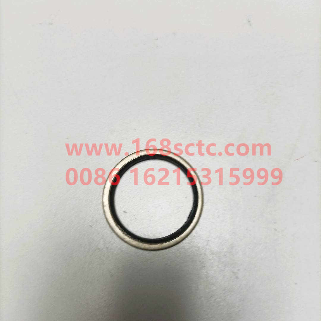 VG2600150106-SINOTRUK HOWO-Gasket-ZhongQiFaDongJiWT615.95